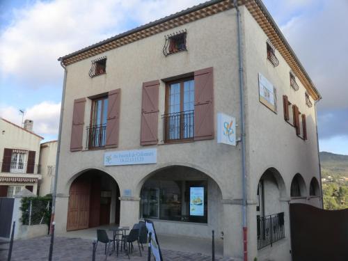 Le magnolia in Colomars