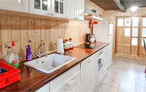 virtuve, Pet Friendly Home In Karlovac With Wifi in Gornji Budacki