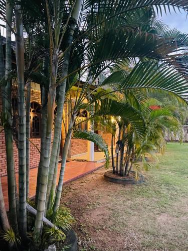 Isuru Inn in Mahijanganaja