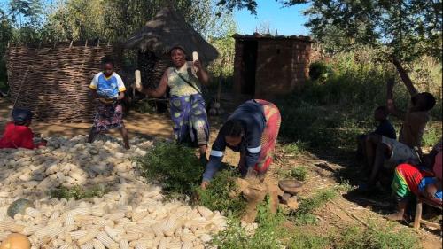 Moms Farm Stay Authentic Zambian Village Experience in Kafue