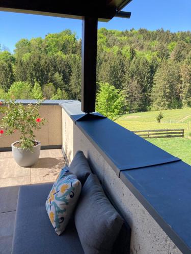 Apartment direkt am Weingut Garber in Wies (Styria)