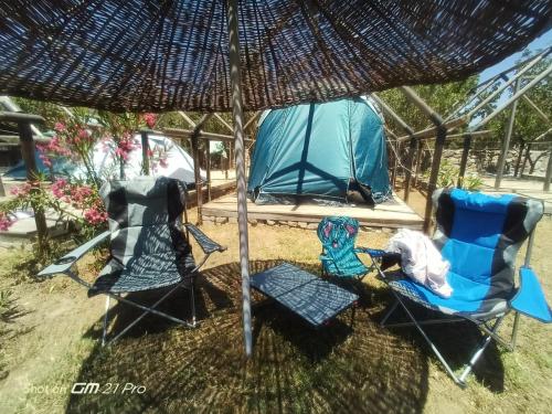 Fesleğenbükü Kamp (Feslegenbuku Kamp) in شوكيرتمي