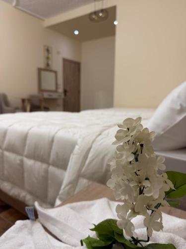 Stay Inn New Cairo - main image