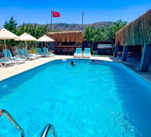 Fesleğenbükü Kamp (Feslegenbuku Kamp) in شوكيرتمي
