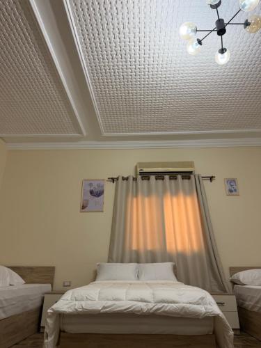 Stay Inn New Cairo - image 4