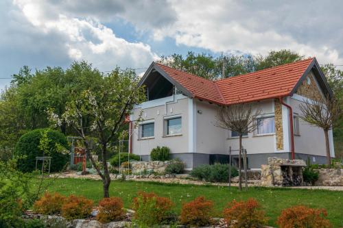 Balatonudvari Comfort House w AC by NW in Vazoli