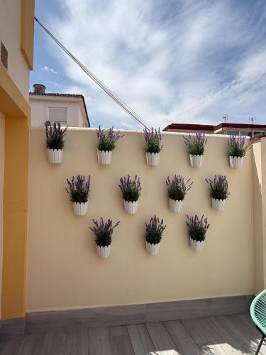 La Boutique Victoria Centro Room Type - Double Room with Private Bathroom