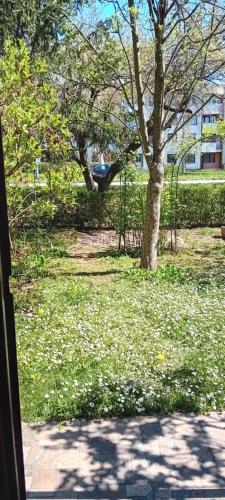GALBY - Dobrinja - 1km from the airport