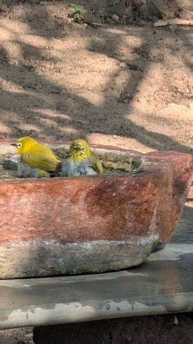 Jamjir Retreat Farm House in Kansariya