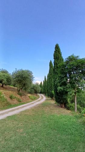 Kert, Casa MaeVi in Galzignano Terme