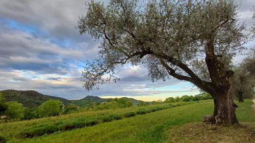 Kilátás, Casa MaeVi in Galzignano Terme