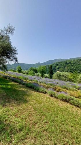 Kert, Casa MaeVi in Galzignano Terme