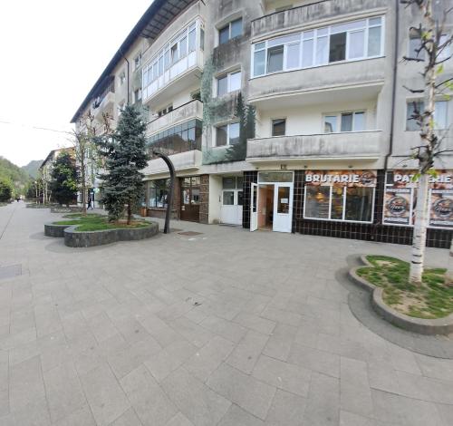 Montain apartament in Brezoja