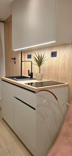 Lighthouse Zadar Center Apartments 4