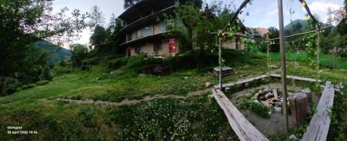 The Wild Pine Jibhi By sSangyaa photo 5