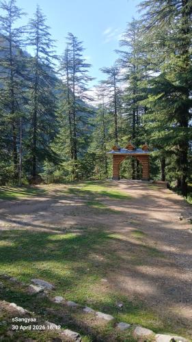 The Wild Pine Jibhi By sSangyaa photo 3