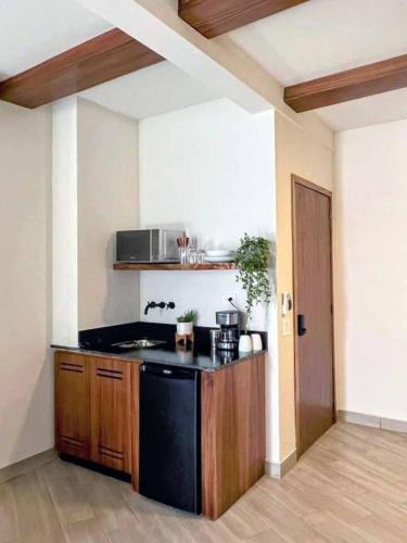 Luxury Studio 203 in Zona Romantica - image 2