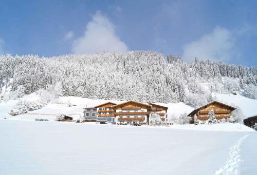 Apartments in Flachau - Salzburger Land 35292