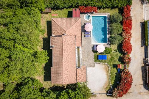 Villa Martha - image 12