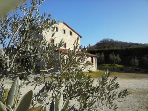 Agriturismo Valiana - image 12