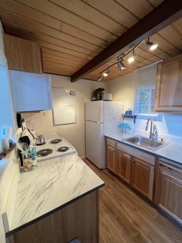 River Bend Cabin in Union (WA)