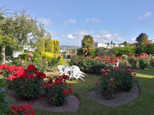 Phoenix Thermal Resort - Taupo - image 4