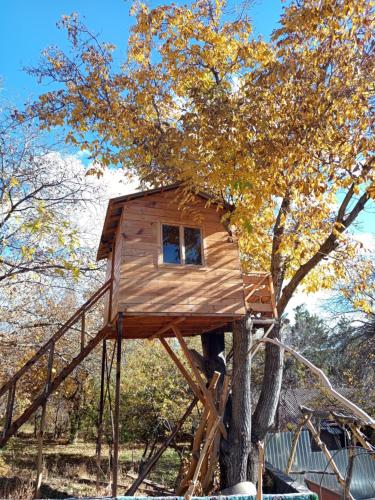 Wonderful house in Vayk
