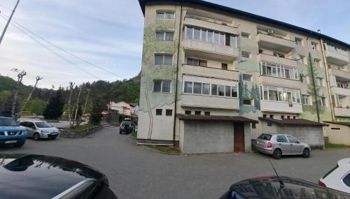 Montain apartament in Brezoja