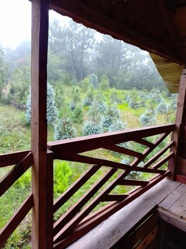 Balkons/terase, Bosque de Niebla in Tlatlaukvitepeka