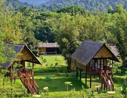 View, Our Jungle Camp - Eco Resort in Near Center