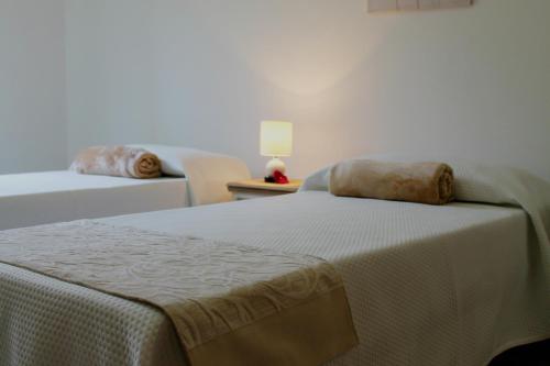 B&B Le Orchidee 5