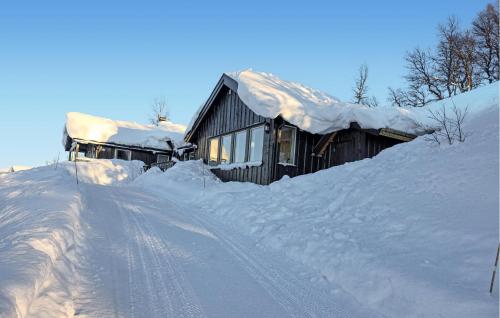 . Nice Home In Rauland With Wifi