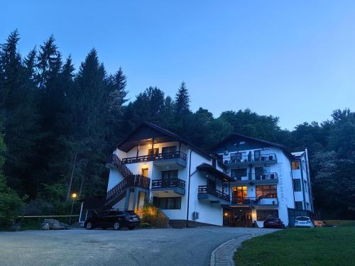 Hotel Trei Brazi