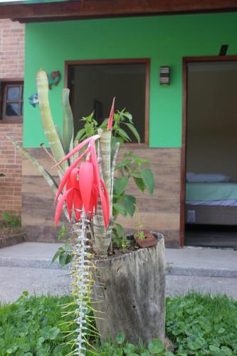 Hotel Club Resort Místico (Hotel Club Resort Mistico) in Peçanha
