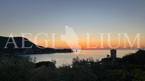 Giglio Blu 5 in Giglio Island