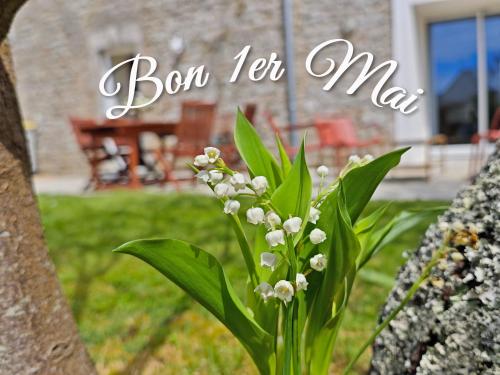 Charmante longère bigoudène - Location saisonnière - Penmarc'h