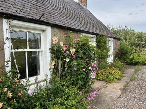 Зовнішній вигляд готелю, Broombarns Farm Cottage in Форганденні