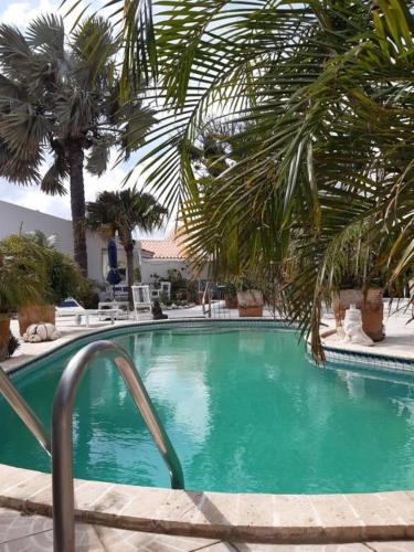 Exterior view, Palmitas Hostel with tropical garden & pool in Noord