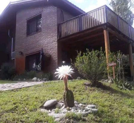 Complejo de Cabañas El Grampa