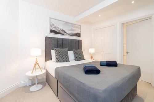 South Audley Street - image 5
