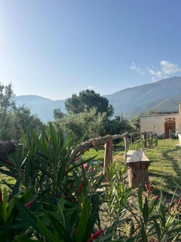 Ümbrus, Orgiva - La Alpujarra in Orgiva