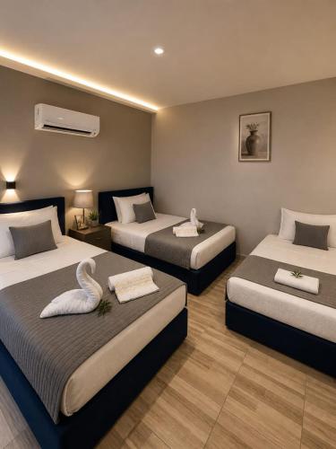 RVT Hotels - image 6