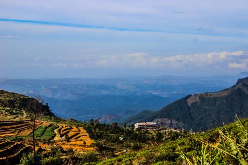 Hill Safari - Tea Estate Villa