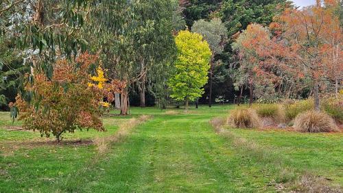 Birch Hill Cottage in Wairau Valley in Waihopai Valley