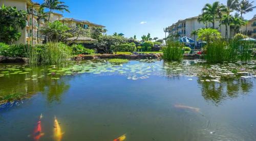 Waipouli Ocean Front Resort - image 14