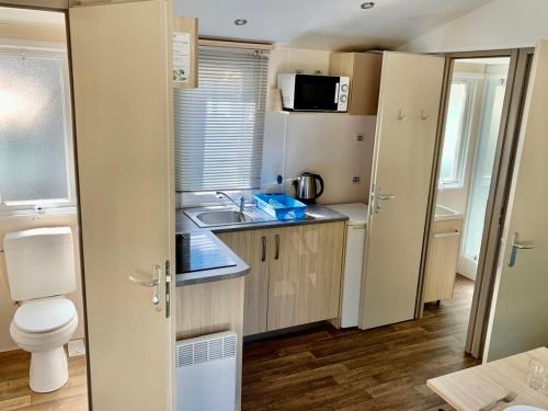 Mobil-home convivial, animaux acceptés - 4 pers. - API-1-52-2743 (Mobil-home convivial, animaux acceptes - 4 pers. - API-1-52-2743) in Molans Revela