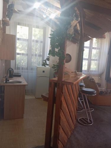 Stará škola - studio apartmán, 4 lůžka (Stara skola - studio apartman, 4 luzka) in Zátor