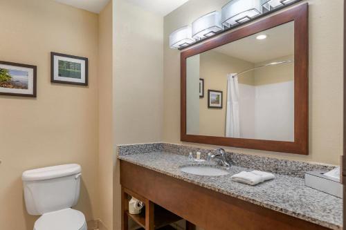 Comfort Suites Grand Rapids North - image 19