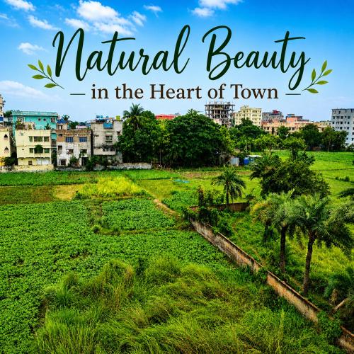 Laxmi Narasimha homestay in Mayapur