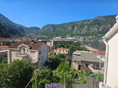 Žana